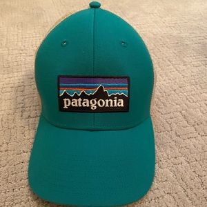 Patagonia trucker hat